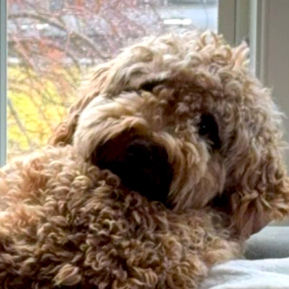 Meet your Posher, Maria - Picture 1 of 1